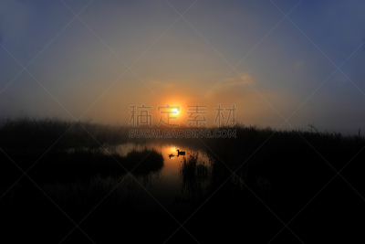 迦南谷,鸭子,海狸池塘,自然,天空,美国,非都市风光,水平画幅,云,地形
