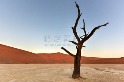 死亡谷,纳米比亚,脚印,瑟斯瑞姆,著名景点,沙漠,户外,天空,高处,盐