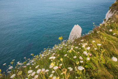 大西洋,white cliffs,抓牢点,晴朗,青绿色,白昼,水,水平画幅,无人,英格兰