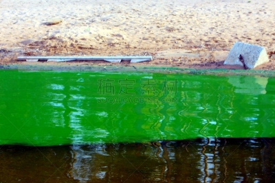 绿藻,湖,淡水,花头,拥挤的,水平画幅,无人,藻类,户外,富营养化
