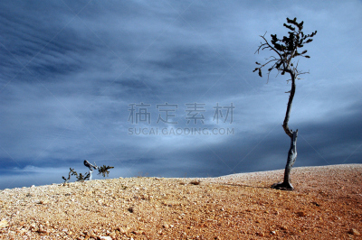 寂寞,穿插表演,贝瑞丝峡谷,自然,天空,公园,水平画幅,风化的,古老的,旅行者