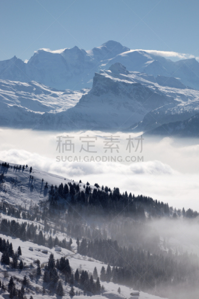 勃朗峰,山谷,垂直画幅,天空,松树,地形,山,无人,蓝色,全景