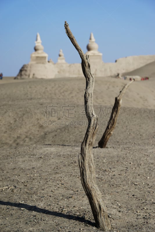 黑水城,垂直画幅,风化的,古老的,古城,旅行者,阿拉贡,户外,钟楼