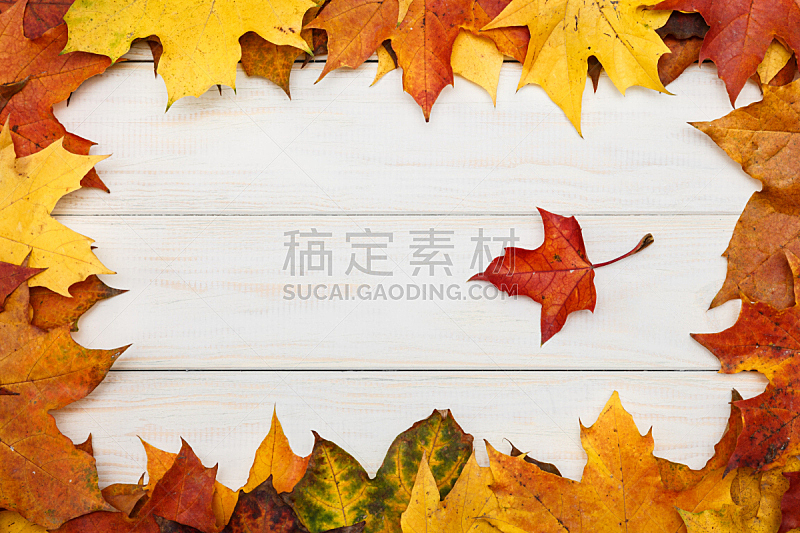 组物体,白色,枫叶,秋天,木制,背景,褐色,边框,水平画幅,风化的