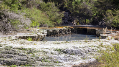 waimangu thermal park,国内著名景点,热,湖,植物,罗托鲁阿,矿物质,岩石,户外,硫磺