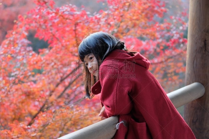 东福寺,女孩,水平画幅,秋天,日本,家庭,摄影