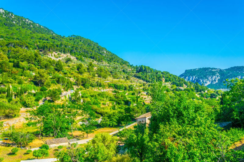 马略卡,西班牙,齿状山脊,sierra de tramuntana,面向陆地,自然界的状态,野生动物,海岸线,小路,地中海