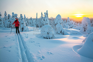 女人,越野滑雪,拉普兰,滑雪痕,芬兰,北欧,斯堪的纳维亚人,滑雪运动,滑雪雪橇,冬天
