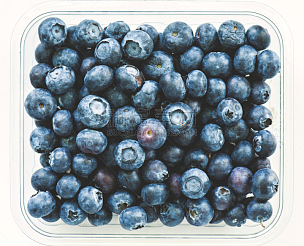 蓝莓,水平画幅,无人,膳食,维生素,营养品,特写,甜点心,俄罗斯,容器