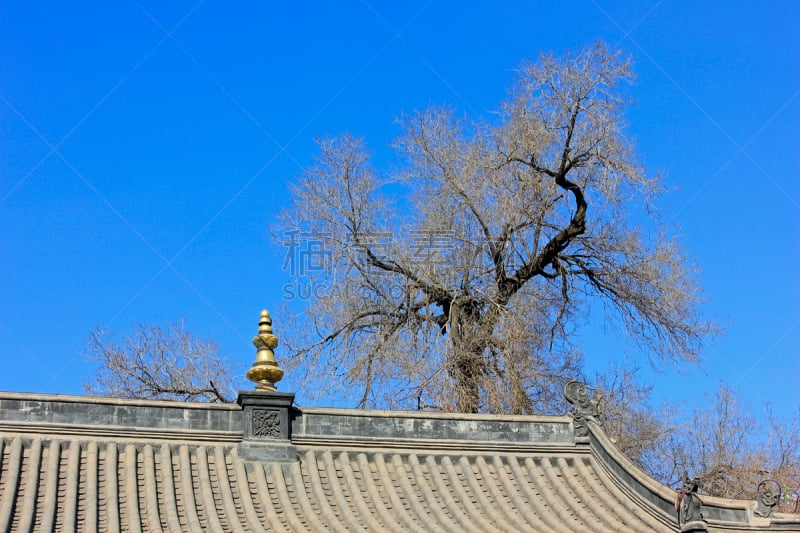 寺庙,山脊,死亡的植物,特写,屋檐,呼和浩特,内蒙古自治区,纪念物,纪念碑,干的