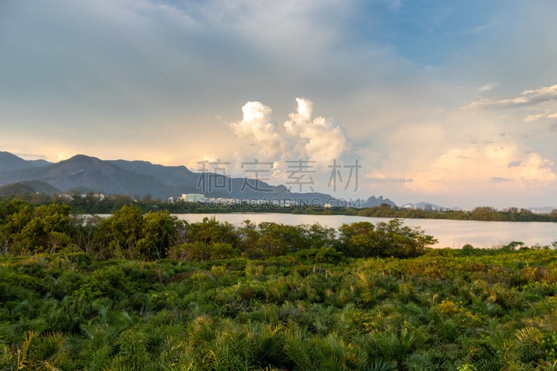 巴西,里约热内卢,提吉卡 巴拉,西,marapendi湖,侧面视角,居住区,蔬菜,云,里约热内卢州