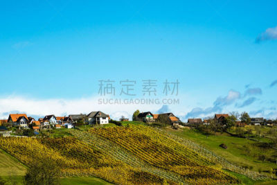农作物,奥地利,葡萄园,施蒂利亚,南,前面,葡萄酒,天空,夏天,著名景点