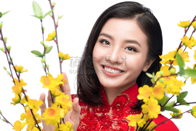 注视镜头,传统服装,美女,传统节日,奥黛,越南新年,越南人,穿衣服,旗袍,水平画幅