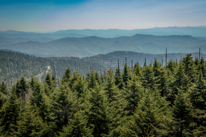 clingman's dome,看,南,天空,水平画幅,高视角,无人,田纳西,户外,松科