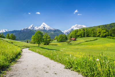 夏天,地形,阿尔卑斯山脉,山顶,雪山,贝希特斯加登地区,瓦茨曼山,单车道,贝希特斯加登,小路