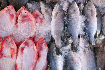 鱼市,鱼肉,泰国,水平画幅,无人,水下,膳食,海产,淡水,海洋
