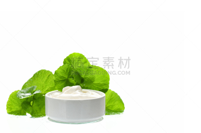 商品,树袋熊,拉他河,积雪草,抗炎,印度草医学,顺势医学,脑部,水平画幅