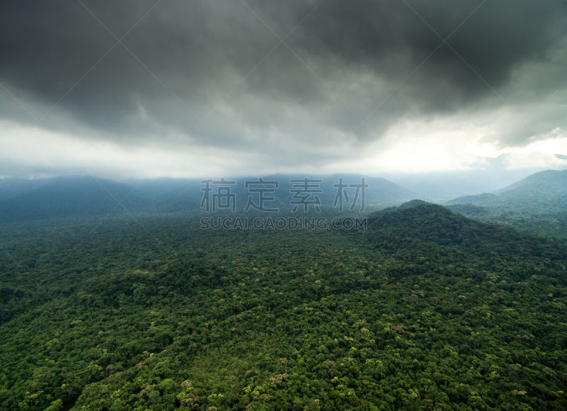 雨林,航拍视角,巴布亚新几内亚,托坎廷斯,亚马逊地区,罗赖马州,戈亚斯,苏里南,尼加拉瓜,玻利维亚