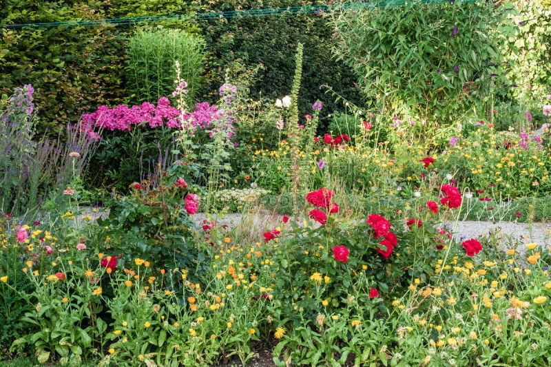 Colorful flower garden in summer. Photograph taken in July in Sonthofen, Allgäu, Germany.