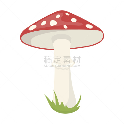 矢量,蜘蛛网,卡通,计算机图标,鹅膏菌,瓷样伞菇,伞形毒菌,自然,有机食品,红色