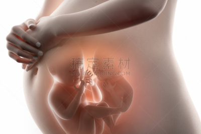 双胞胎,婴儿,概念,女人,肚脐,水平画幅,父母,腹腔,人,惊奇