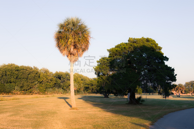 公园,夏天,风景,自然美,太壁岛,自然,草地,美国,水平画幅,地形