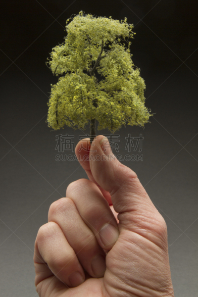 男人,手,拿着,变焦效果,重新造林,抱着树,垂直画幅,泥土,生物学,特写