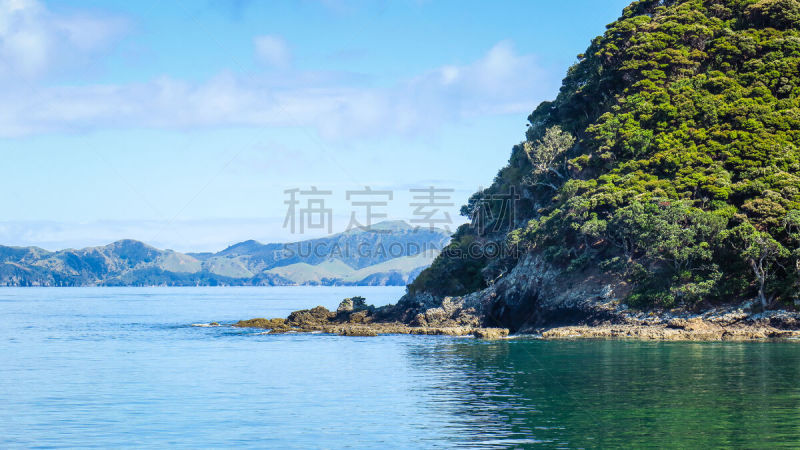 派希亚镇,bay of islands,自然,岛屿湾海岸公园,野生动物,图像,海豚,野外动物,新西兰北岛,石中洞