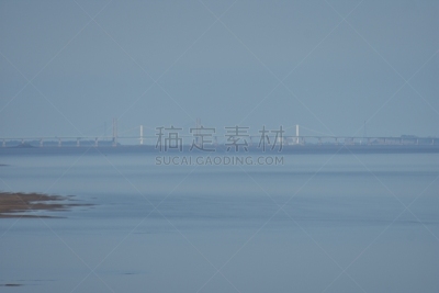 八月,摄像机拍摄角度,两只动物,南,塞汶河,水,核电站,水平画幅,塞文桥,无人