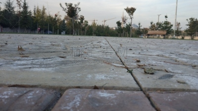小路,旅途,运动,自由,一个人,探险家,休闲活动,夏天,户外,旅行者