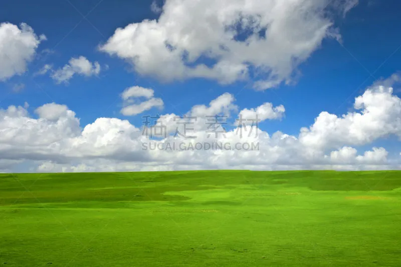 草 色彩鲜艳 自然 田地 多云 空的 春天 背景 天空 绿色图片素材下载 稿定素材