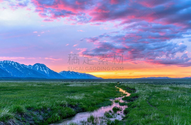 草地,山,马尔顿谷,提顿山脉,摩门教,美洲野牛,春天,怀俄明,天空,洛矶山脉