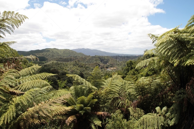 湖,罗托鲁阿,新西兰,waimangu thermal park,水,水平画幅,lake tarawera,无人,火山地形,户外