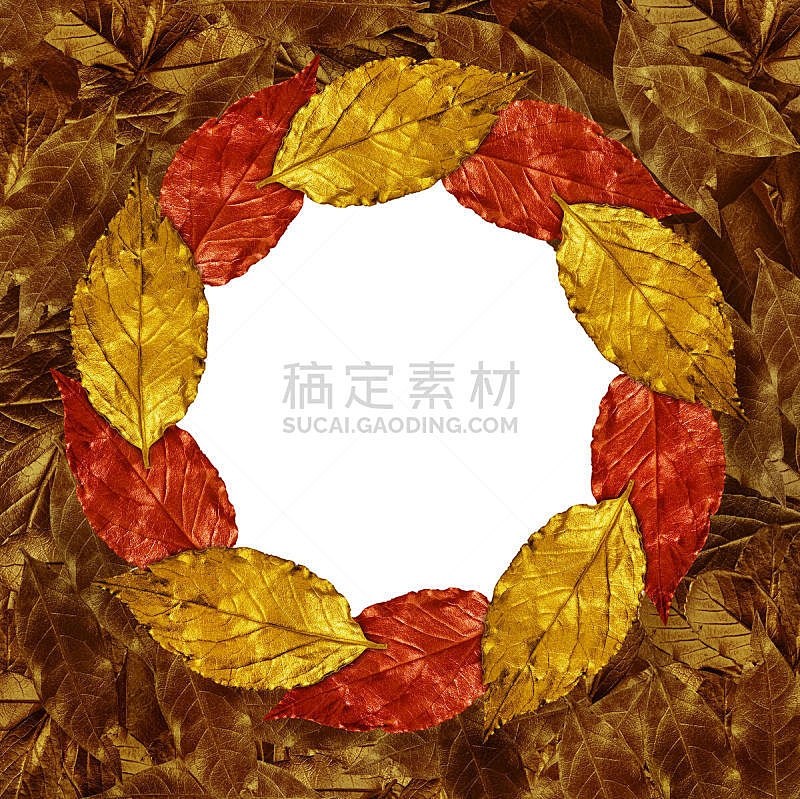 叶子,背景,边框,秋天,自然,圆形,水平画幅,无人,抽象,有机食品