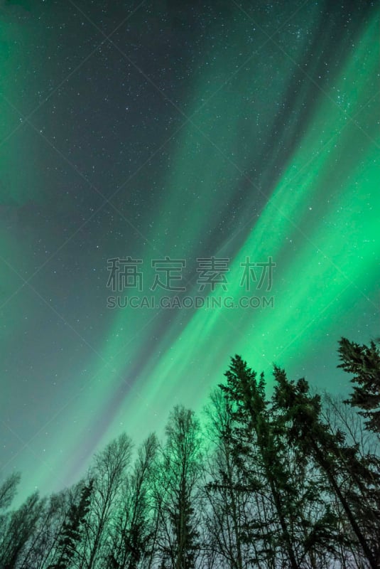 极光,绿色,道口标志,身体绘画,天空,接力赛,垂直画幅,美,留白,星星