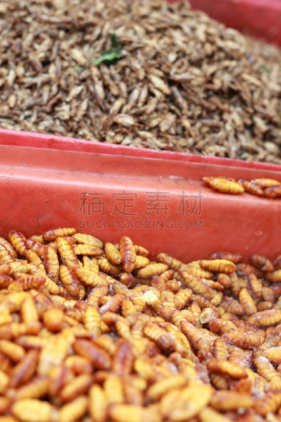 蚕,股票行情,蛆,垂直画幅,格子烤肉,褐色,夜晚,无人,膳食,茧