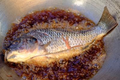 罗非鱼,沸腾的,锅,食用油,淡水鱼,水平画幅,传统,膳食,海产,动物身体部位
