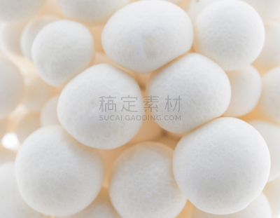 姬菇,白色,自然,水平画幅,素食,无人,山毛榉树,有机食品,生食,白色背景