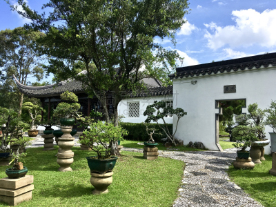 盆景,新加坡,园林,中式庭院,自然,禅宗,公园,旅游目的地,水平画幅,无人