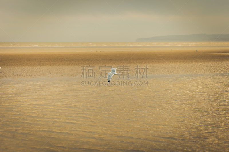 坎姆博沙滩,水平画幅,沙子,肯特,肯特岛,无人,英格兰,英吉利海峡,户外,海滩