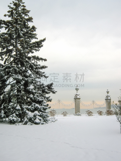 多尔马巴赫切王宫,伊斯坦布尔,土耳其,巨大的,垂直画幅,水,天空,雪,夏天,明亮