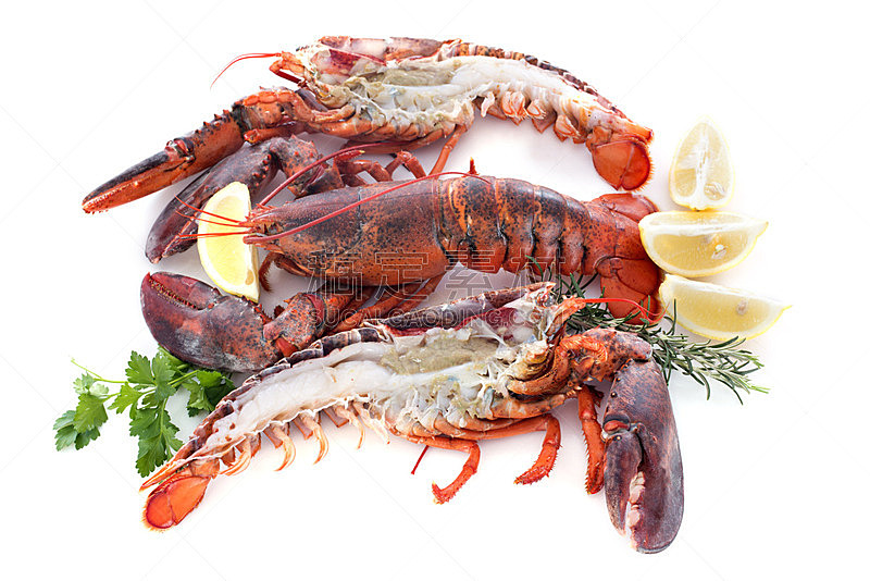 龙虾,饮食,水平画幅,背景分离,两个物体,开着的,草本,前面,酸橙