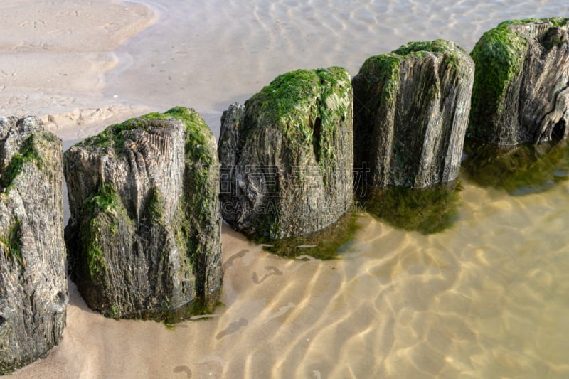 海洋,海滩,秋天,系船柱,破浪堤,海岸线,季节,中欧,波兰,英格兰