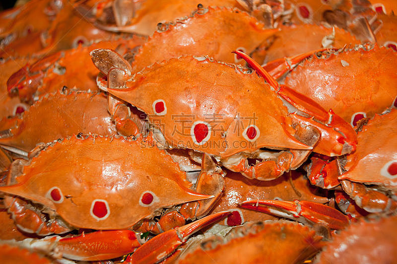螃蟹,海产,红色,饮食,水平画幅,无人,甲壳动物,海洋生命,美味,食品