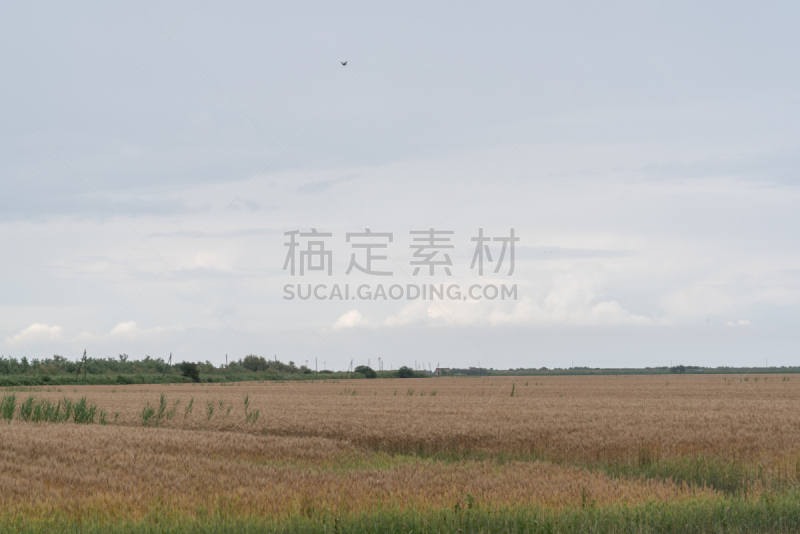 非都市风光,三角洲,波河,水,天空,运河,星云,旅行者,草,风景