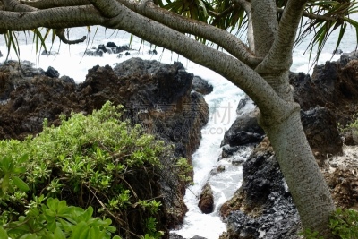 水,岛,岩石,旅途,纯净,泰兹威尔,热带气候,火山岩,私密,水湾