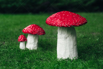 手艺,三个物体,鹅膏菌,新的,艺术,水平画幅,进行中,夏天,户外,草