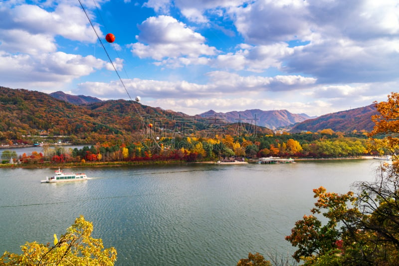 韩国,首尔,秋天,岛,环境,银杏,朝鲜半岛,户外,旅行者