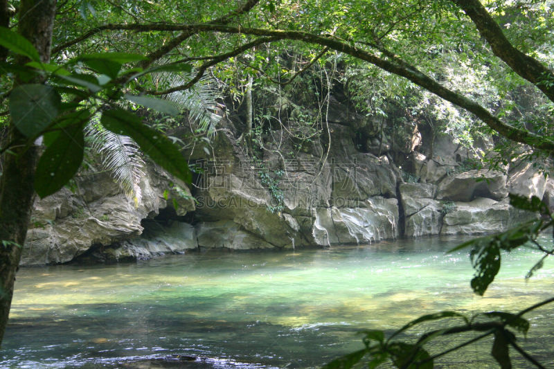 绿河,自然,水,草原,水平画幅,无人,热带雨林,河流,户外,摄影