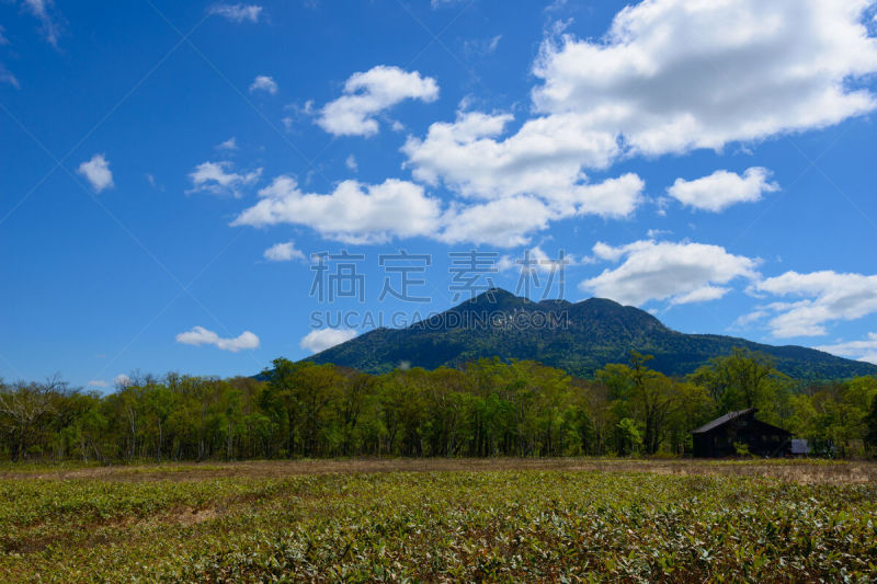 群马县,夏天,日本,早晨,御岳山,尾濑国立公园,著名自然景观,天空,美,国家公园